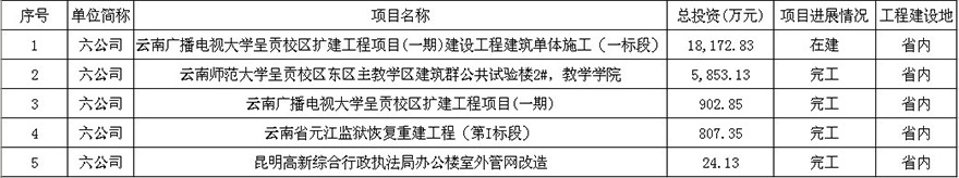 公司项目动态