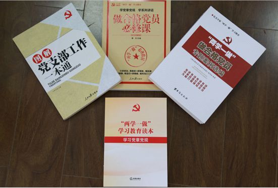 公司党委开展“七一”主题系列活动深入推进“两学一做”学习教育